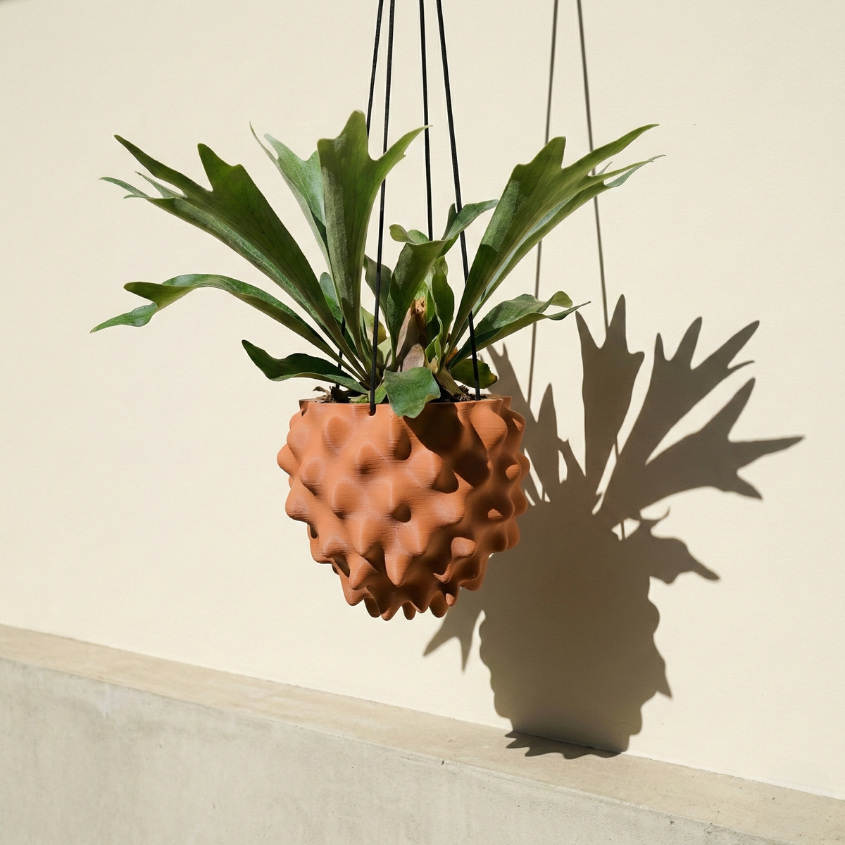 Creature Orb Hanging Planter with Drainage