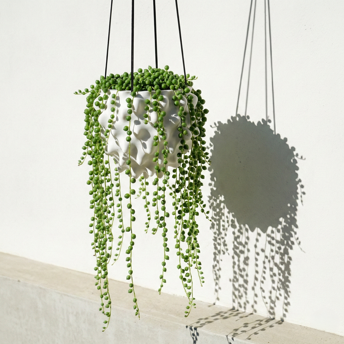 Creature Orb Hanging Planter with Drainage