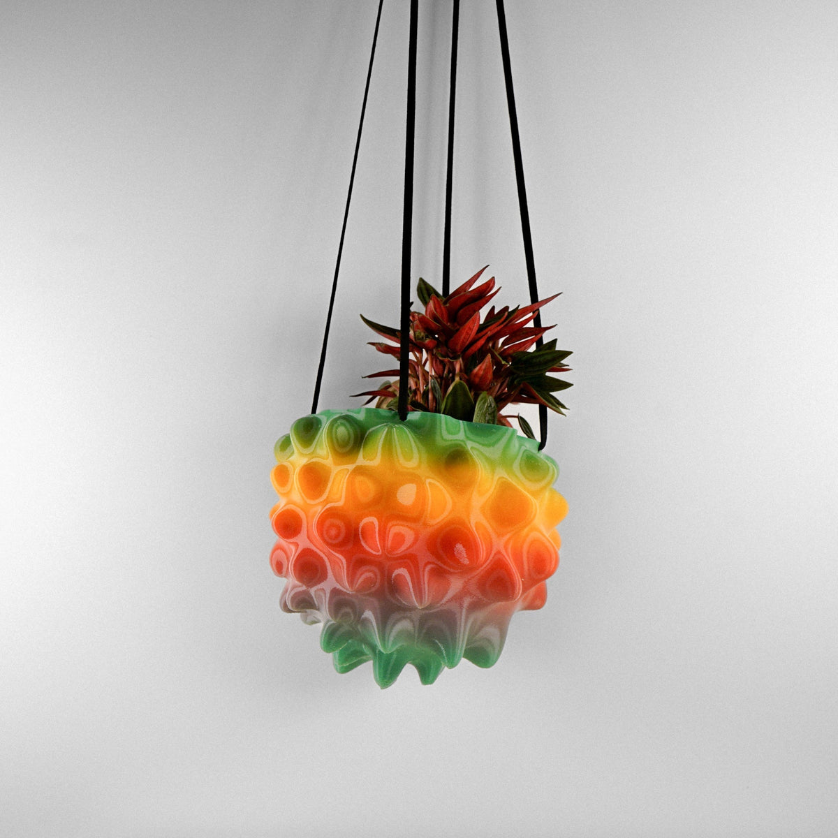 Creature Orb Hanging Planter with Drainage