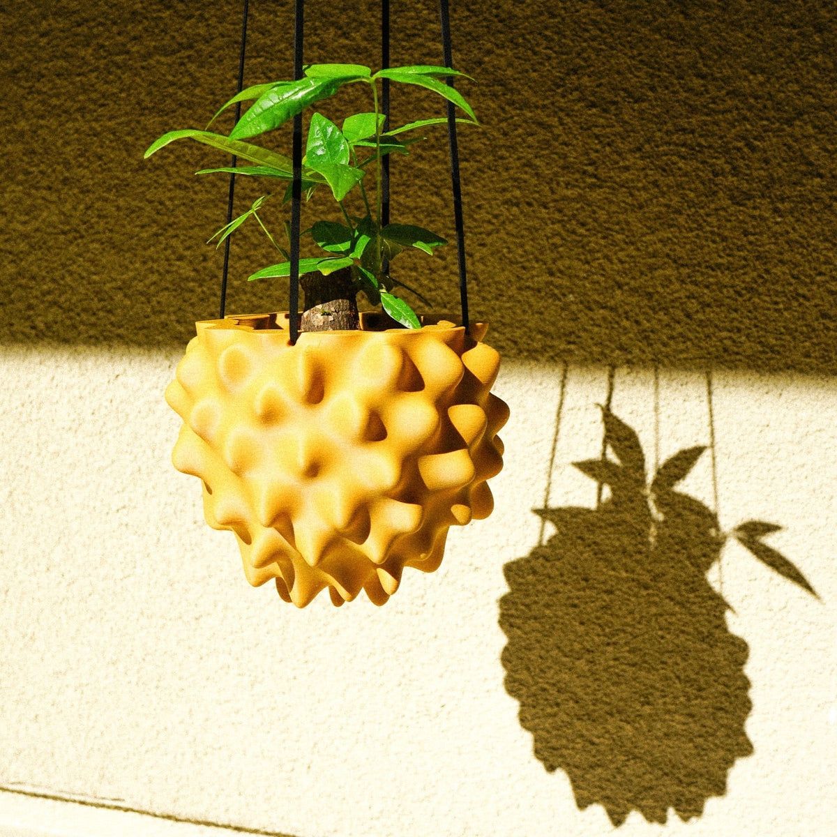 Creature Orb Hanging Planter with Drainage