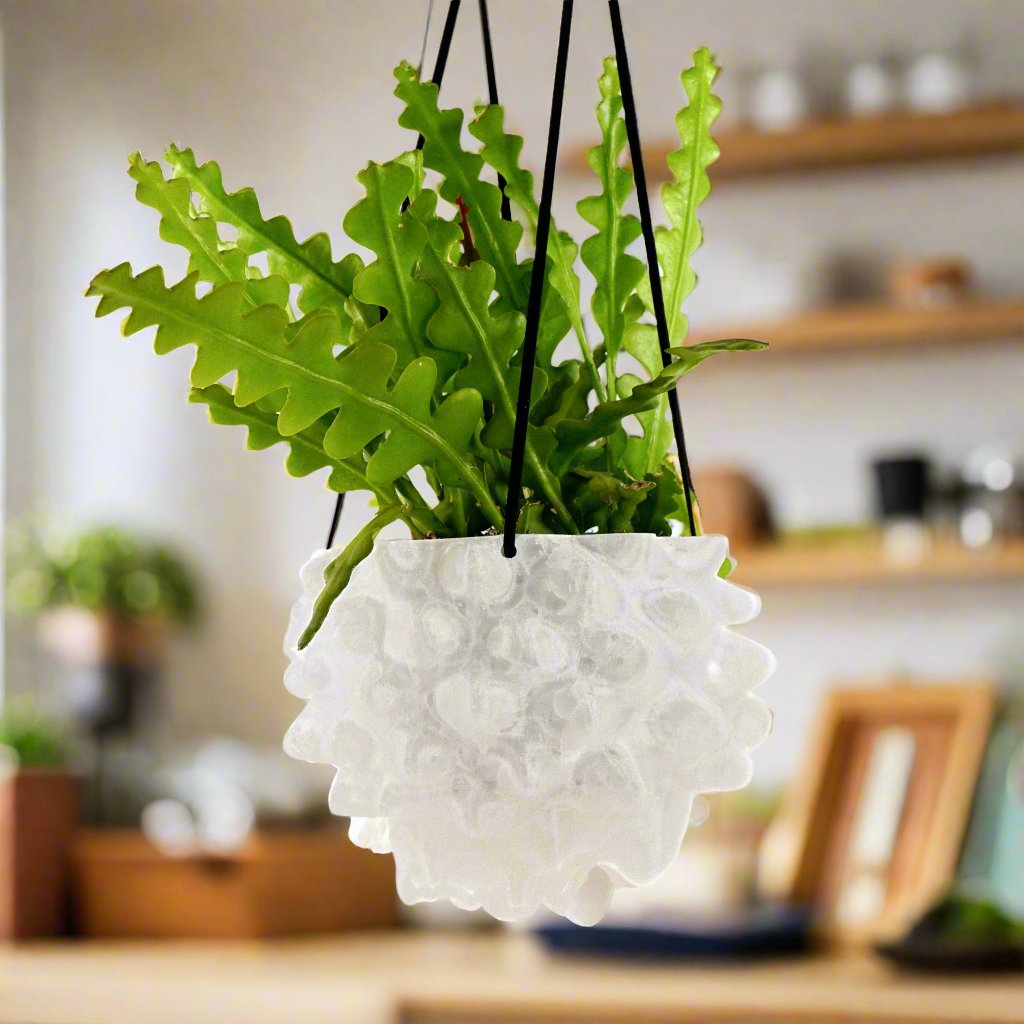 Creature Orb Hanging Planter with Drainage